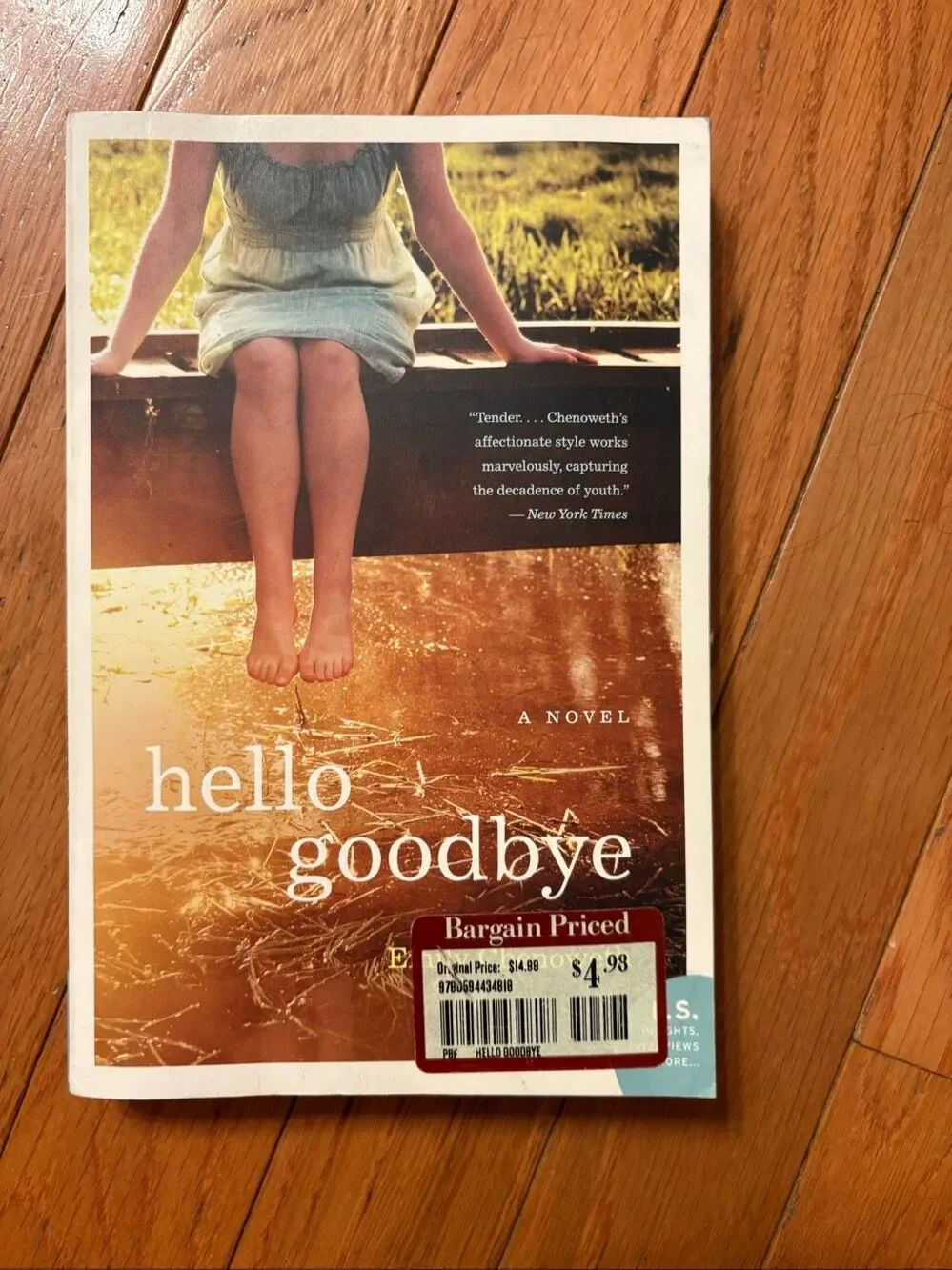 Hello Goodbye by Emily Chenoweth Paperback Book